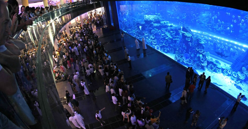 your muslim frienldy guide to dubai cannot be complete without a visit to Dubai Mall aquarium 