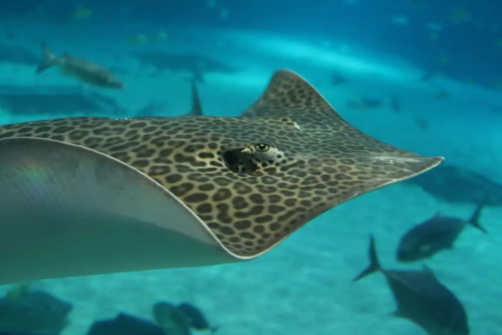 Photo credit: Wendell Reed via Visualhunt / CC BY-NC-SA