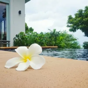 DSC01887-01 (1)resized