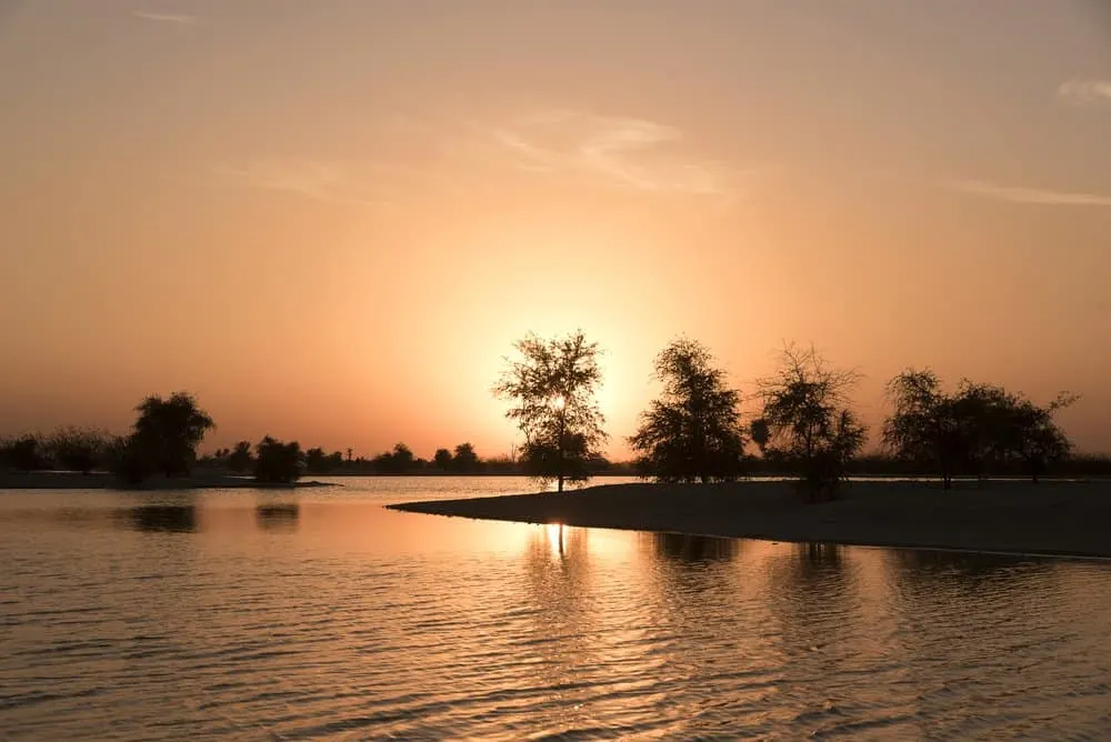 The Best Places to Experience a Magical Sunset in Dubai 