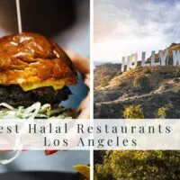 the ultimate list of the best halal food restaurants in los angeles halal burgers and hollywood view