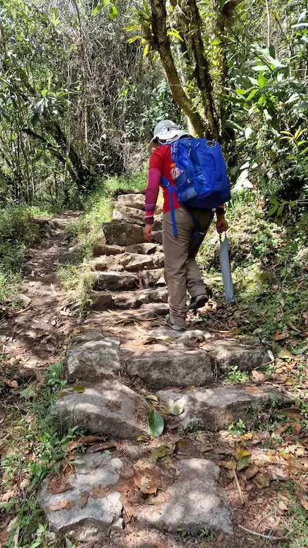 what a one hike to machu picchu looks like with best tips