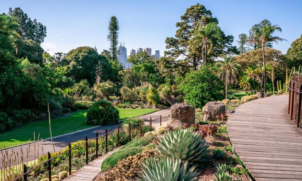 things-to-do-in-melbourne-australia-botanical-garden